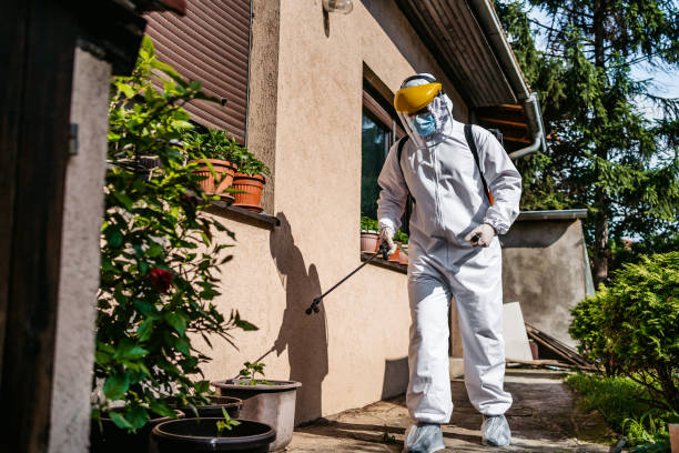 Best Emergency Pest Control  in Buna, TX
