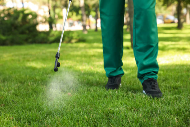 Best Bed Bug Extermination  in Buna, TX