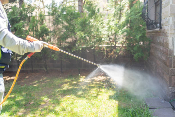 Best Wasp Removal Services  in Buna, TX