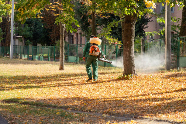 Wasp Removal Services in Buna, TX