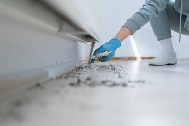 Best Affordable Pest Control Services  in Buna, TX