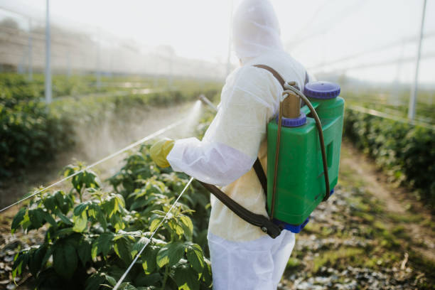 Best Affordable Pest Control Services  in Buna, TX